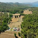 Sora No Mori Village *