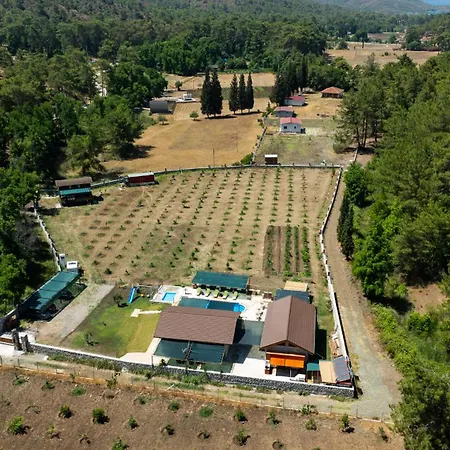 Sora No Mori Village * Hasanhueseyin Adasi